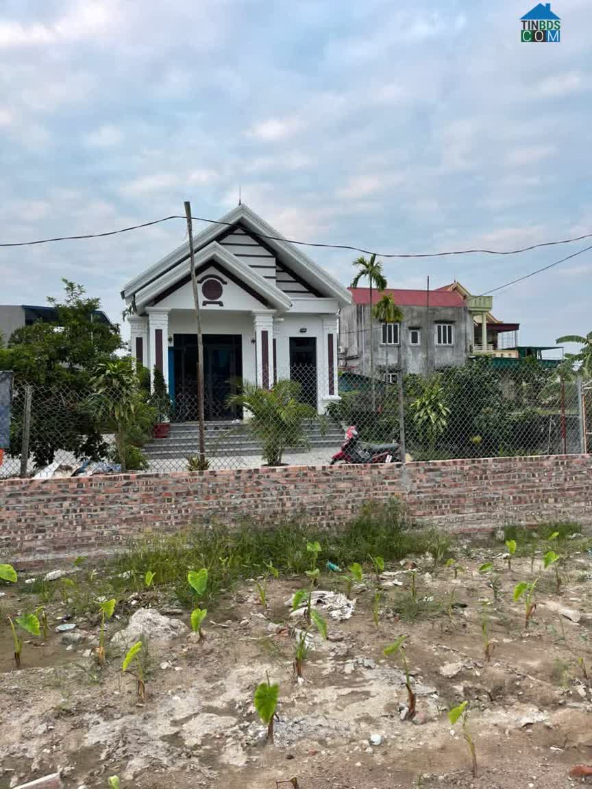 Ảnh Chính Chủ Gửi Bán 3 Lô Đất Tràng Duệ – An Dương 0