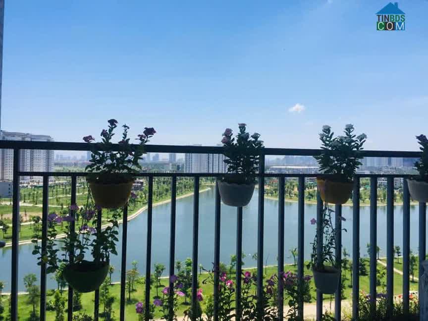 Ảnh Bán căn hộ 65m2 view hồ chung cư Thanh Hà Cienco 5 – Chỉ 3,x tỉ 0