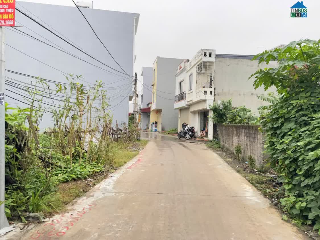 Ảnh Lô Đất Đẹp - Trục Ngang Văn Cú, An Dương, Hải Phòng - Đường Thông - Kinh Doanh Nhỏ Lẻ - Dân Cư... 0