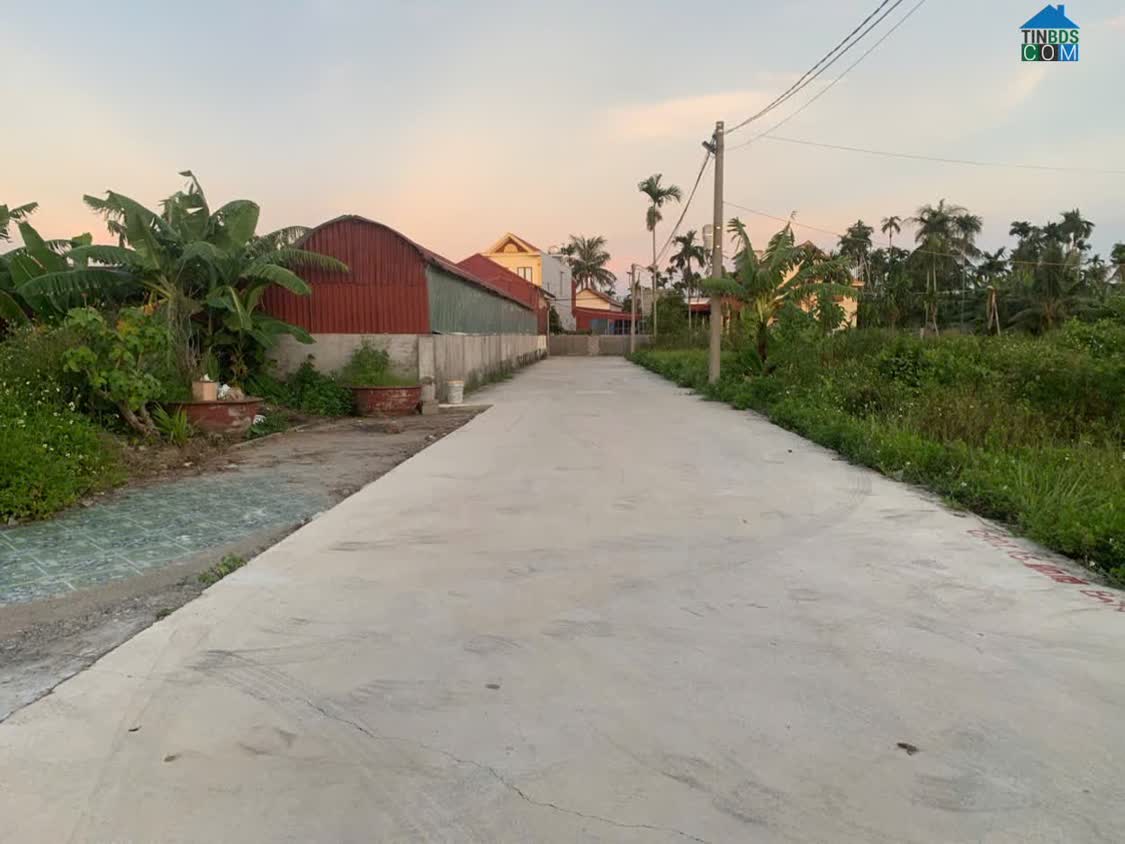 Ảnh Mở Bán 3 Lô Đẹp Tổ 12 Hòa Nghĩa – Dương Kinh, Giá Chỉ 1X Triệu/m² Zalo 0567 222 555 0