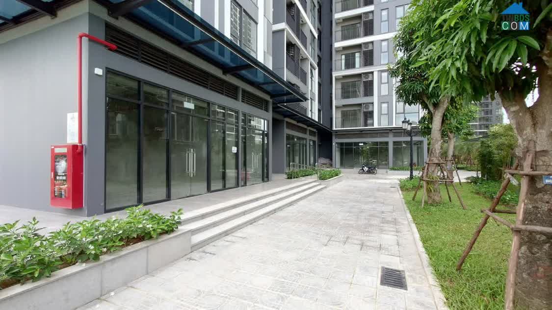 Ảnh Chính Chủ Cho Thuê Shophouse P301S19 Tại The Pavilion - Vinhomes Ocean Park, Gia Lâm, Hà Nội 0