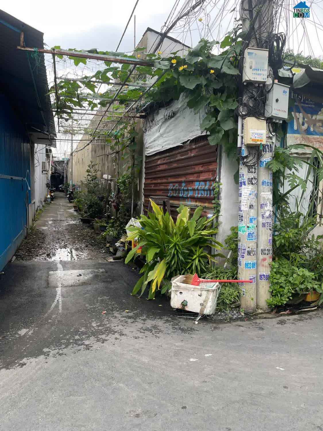 Ảnh Bán Dãy Trọ Siêu Dòng Tiền – An Phú Đông, Quận 12 0