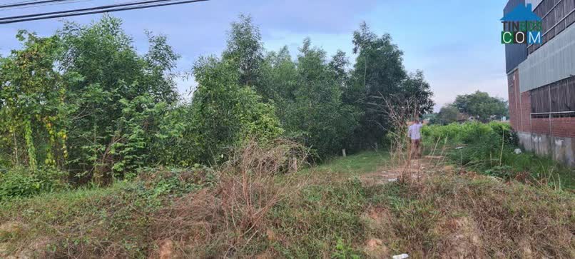 Ảnh Bán Đất Mặt Tiền Tỉnh Lộ 823 – Vị Trí Đẹp, Gần Trường Học Và Trung Tâm Hành Chính 0