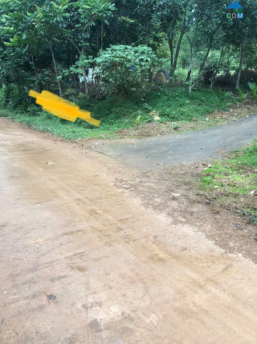 Ảnh Bán Đất Tại Bản Đồng An – Xã Xuân Lương – Bắc Ninh 0