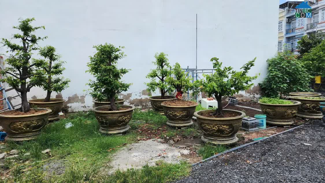 Ảnh Cơ Hội Vàng – Sở Hữu 1.200m² Đất Đẹp Ngay Trung Tâm Q.12 0