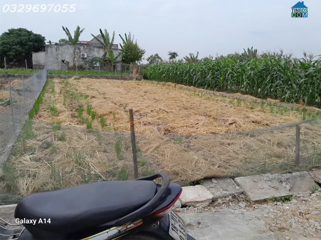 Ảnh Cần tiền bán nhanh lô đất siêu đẹp trung tâm thị trấn Quất Lâm, Dt 212m2, giá 2,1 tỷ 0