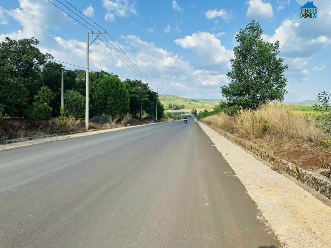 Ảnh Cần Bán Đất Mặt Tiền Đường Nhựa - Tân Phước - Đồng Phú - Bình Phước Chỉ 9 Tỷ/ Ha 0