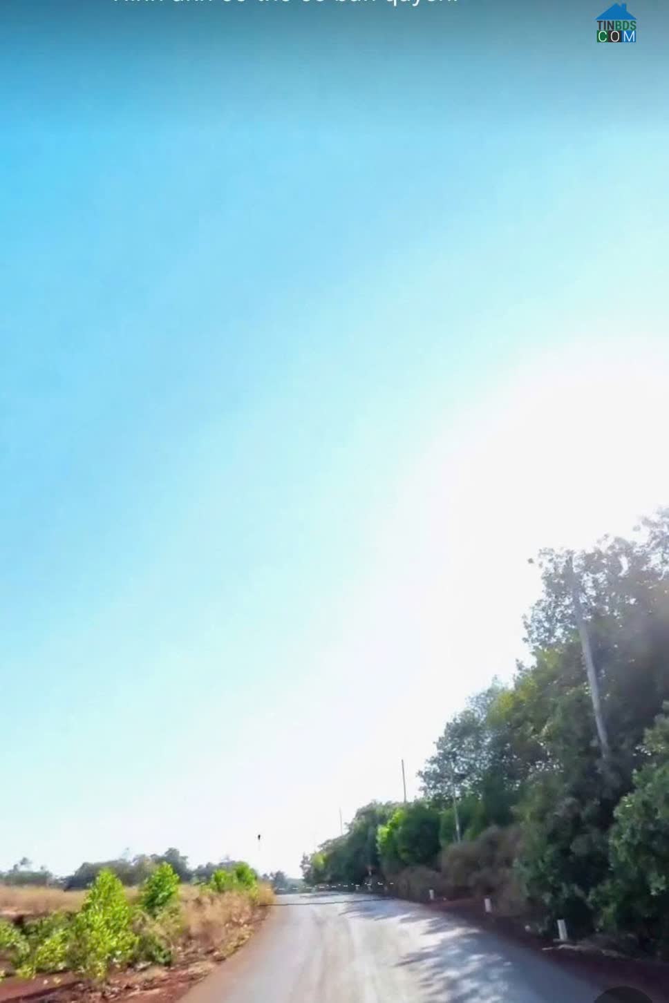 Ảnh Đất Đẹp Cần Bán – Xã Tân Phước, Đồng Phú, Bình Phước Giá Chỉ 9 Tỷ/ha 0