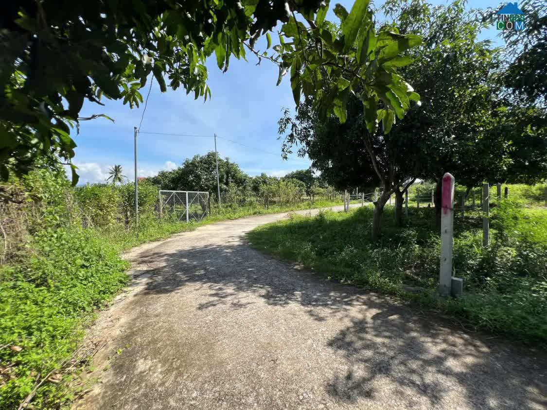 Ảnh Đất thổ cư Suối Tiên - Diên Khánh ( nay là Suối Hiệp) - Dt 68m ngang 5,5m 100% thổ cư 0