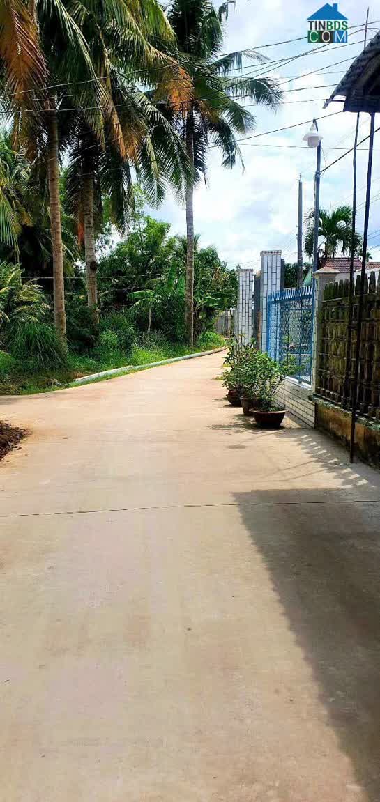 Ảnh Bán Nhà Đất Tại Ấp Nhất Thạnh Hoà 500M2 SHR Chỉ 2 Tỷ. Lh:0913314259. 0