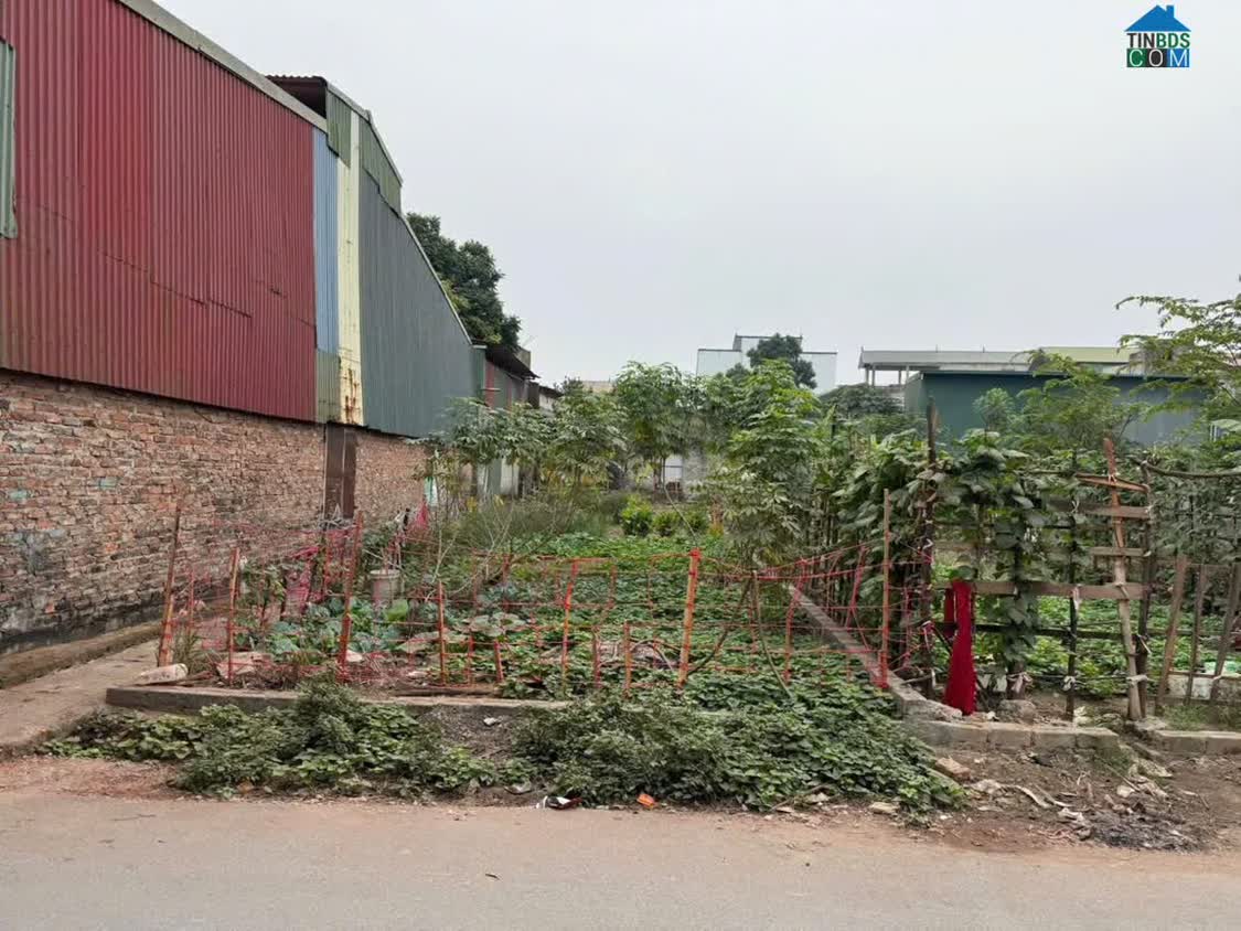 Ảnh Bán đất Vạn Điểm Kinh Doanh cực Vip đẹp ô tô tránh , Thường Tín Hà Nội 0