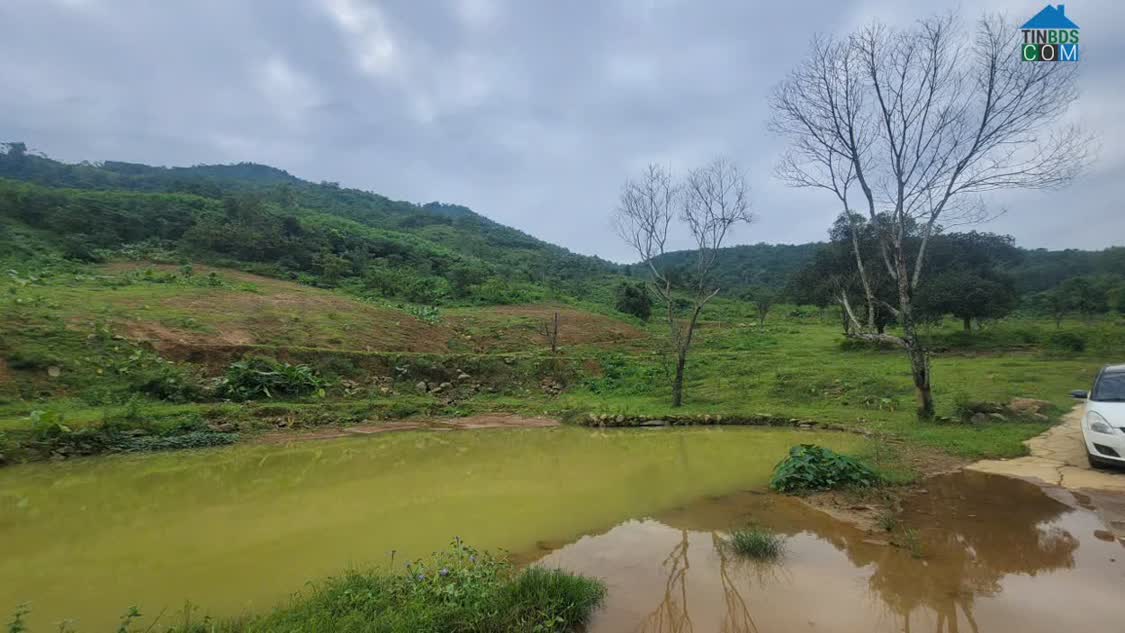 Ảnh Siêu Phẩm 4,4ha View Đồi Cực Đẹp – Lương Sơn, Hòa Bình 0