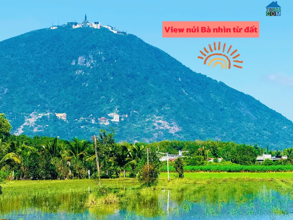 Ảnh Mặt tiền đường nhựa view trực diện núi bà đen full thổ cư 140m2 sẵn sổ ra thị trấn DMC chỉ vài phút 0