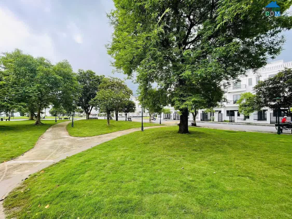 Ảnh Chính Chủ Bán Đất Lô Góc – Hướng Đông Nam Hiếm Tại Kđt Quang Minh Green City – Thủy Nguyên, Hải... 0
