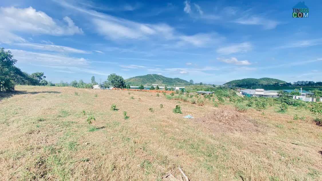 Ảnh Hẻm đường vào kdl thác Pongour, đức trọng, lâm đồng 0