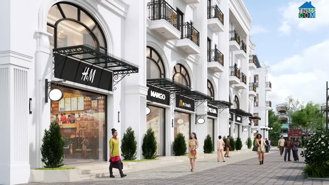 Ảnh Đào Tấn Diamond City – Tâm Điểm An Cư & Kinh Doanh Đẳng Cấp Tại Huế 0