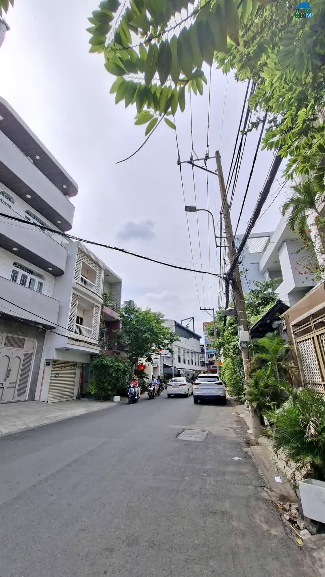 Ảnh Cực Hiếm - Nguyễn Gia Trí - 300M2 - Chỉ 60.5 Tỷ. Cực Hiếm Với Ngang Dài 13M 0