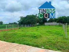 Ảnh Đất lúa Bến Lức – gần chợ, gần dân, thích hợp tích lũy lâu dài 0