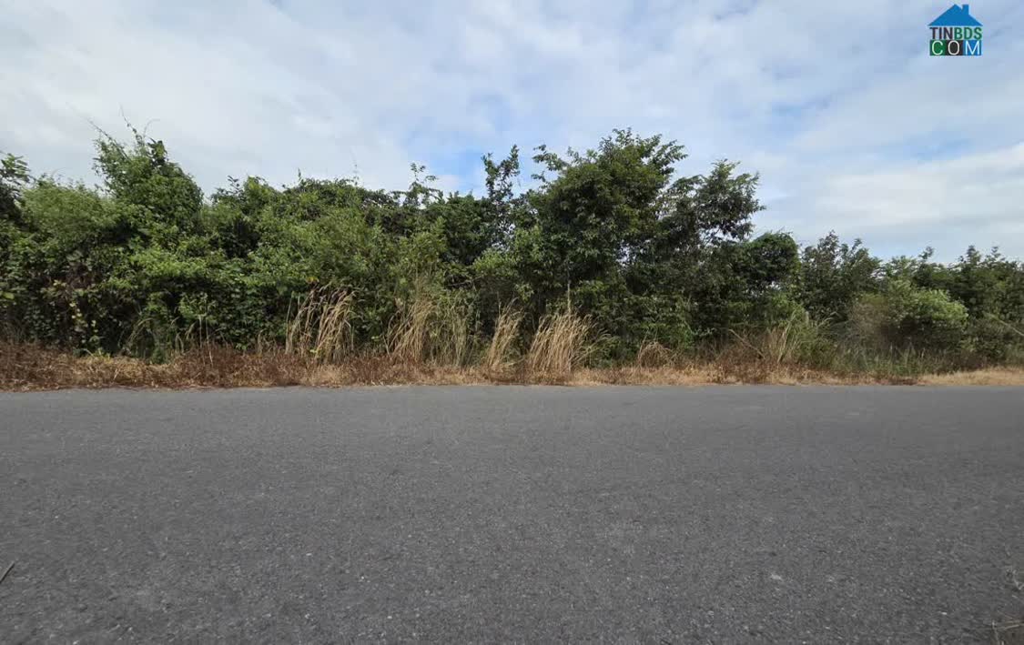 Ảnh Bán 1732 M² Đất Đường Phạm Văn Cội Củ Chi. Giá 12tr/m2. Lh:0906735462 0