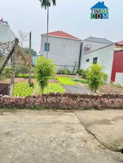 Ảnh Muốn Bán Gấp 51.5m Đất Tích Giang _ Phúc Thọ _ Hà Nội 0