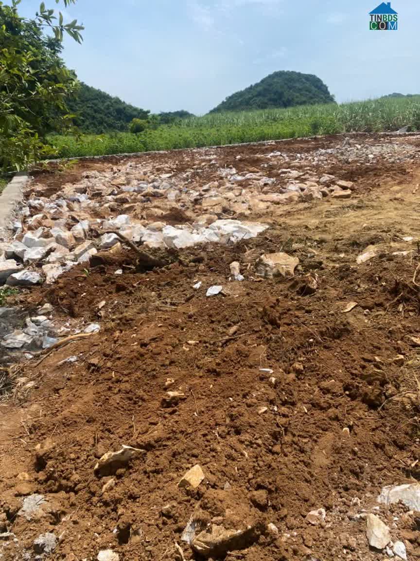 Ảnh Bán Đất Chính Chủ – Sổ Đỏ Riêng 0