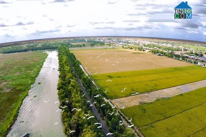 Ảnh Đất vườn gần khu dân cư – Nguyễn Trung Trực – Lên thổ cư trong tương lai gần 0