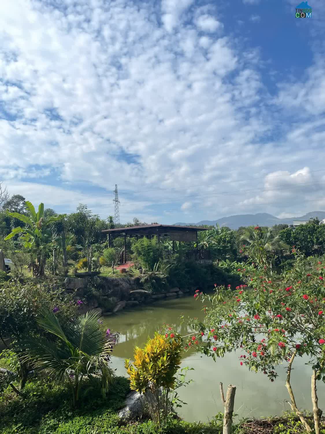 Ảnh Bán đất tại Quốc Lộ 55, 600 triệu, 200m2, view đẹp, giá ưu đãi 0