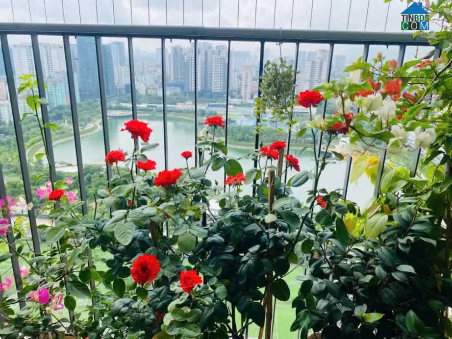 Ảnh Bán căn hộ view hồ tòa C6 Vinhomes D'capitale, 95m2, 3PN, giá tốt 0