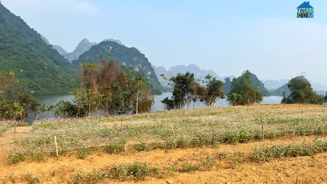 Ảnh Phân phối Biệt Thự nghỉ dưỡng, shophouse 0