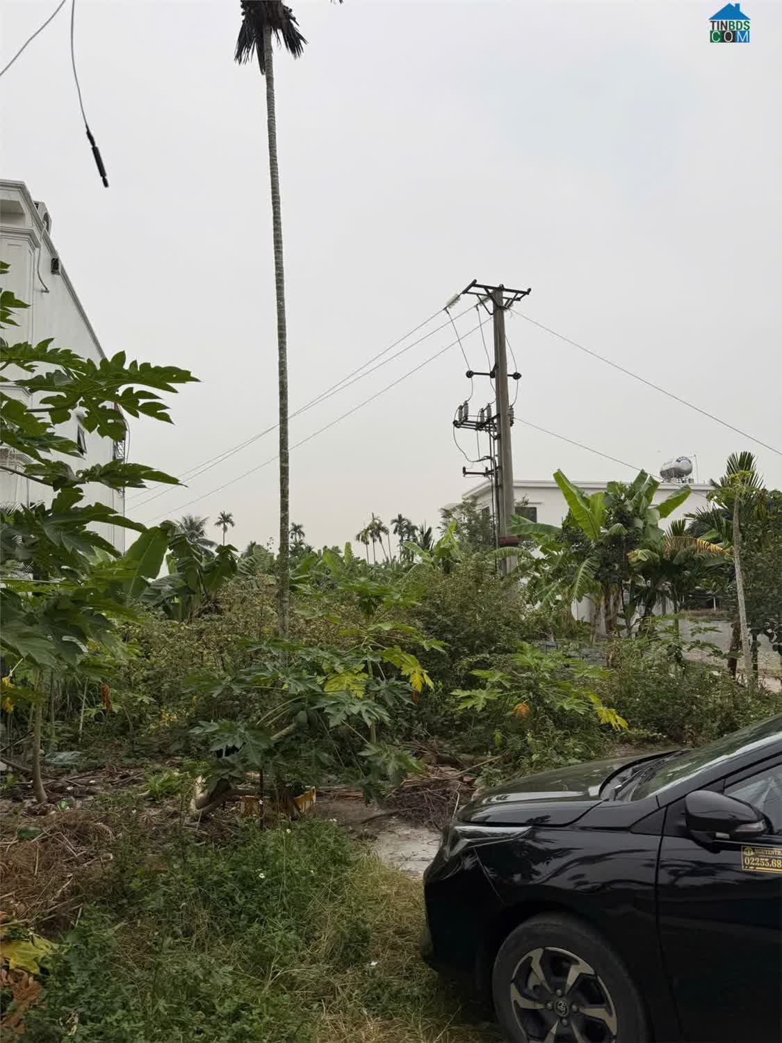 Ảnh Lô Đất Sau Mặt Đường Phạm Văn Đồng (353) – 247m² – Mặt Tiền 11M Hiếm – Giá Chỉ 2X Triệu/m² Zalo... 0