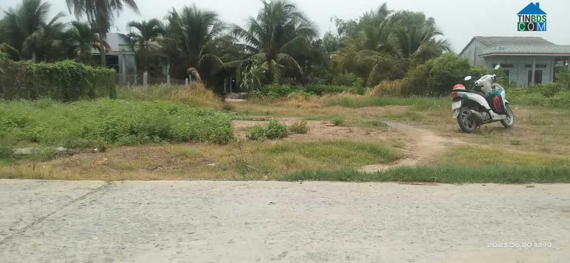 Ảnh Chính Chủ Bán 229m2 Đất Tại Đường ĐT. 818, Xã Nhị Thành, Huyện Thủ Thừa, Long An 0