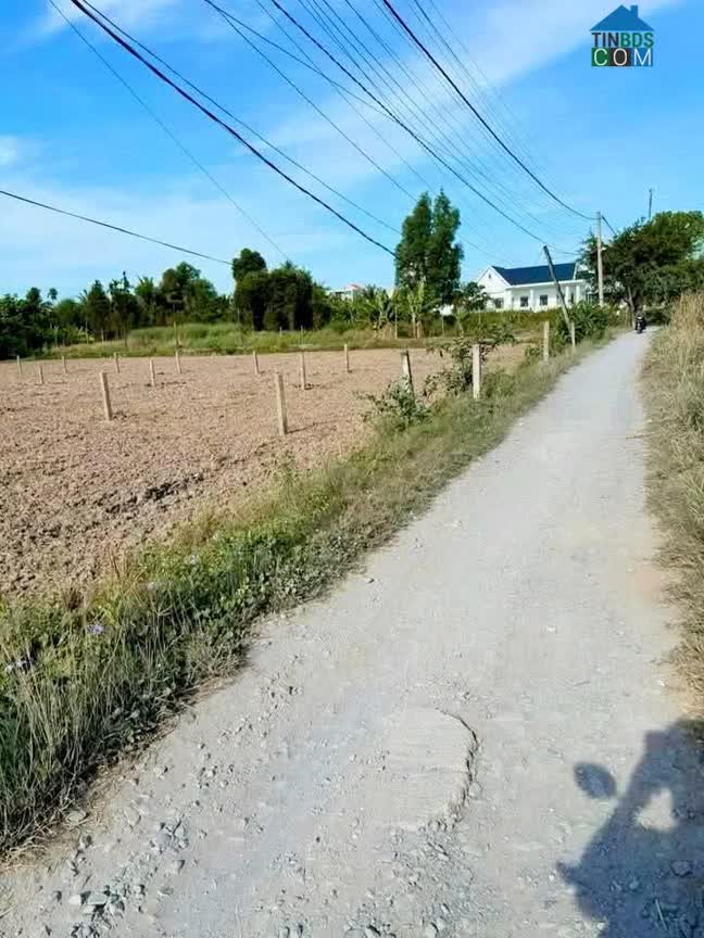 Ảnh Chính Chủ Đứng Bán 1.045m2 Đất Lúa + 203m² Thổ Cư – Kp9, TT Bến Lức, SHR Giá 4 Tỷ 0