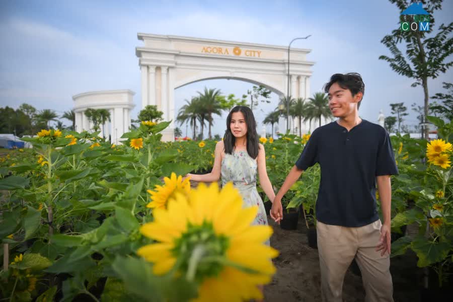 Ảnh top 10 lí do Nhà đàu tư xuống tiền an toàn, chỉ 600 Tr nhận Sổ & Nền,khai thác liền. Sơn 0933828233 0