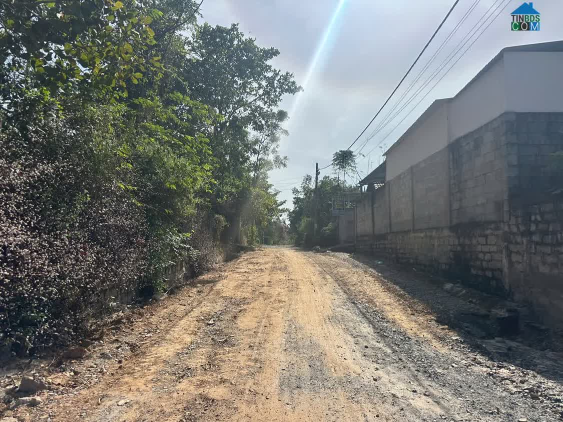 Ảnh Bán 5m x 25m đất thổ cư Đường Nguyễn Trường Tộ nối dài, LaGi gái ngộp 770 triệu 0