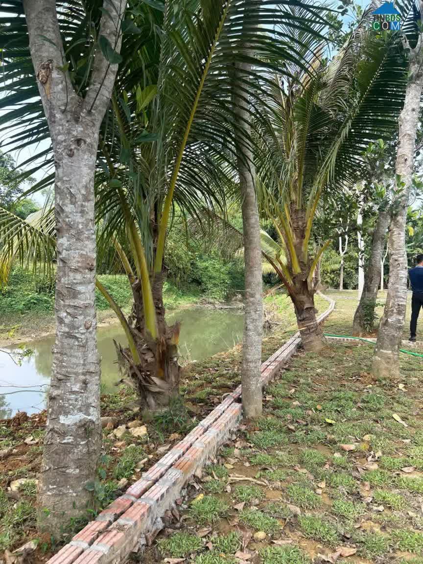 Ảnh Chỉ hơn 300tr có ngay lô đất hơn 60m gần chợ và đường QL 12B tại Kim Bôi, Hoà Bình 0