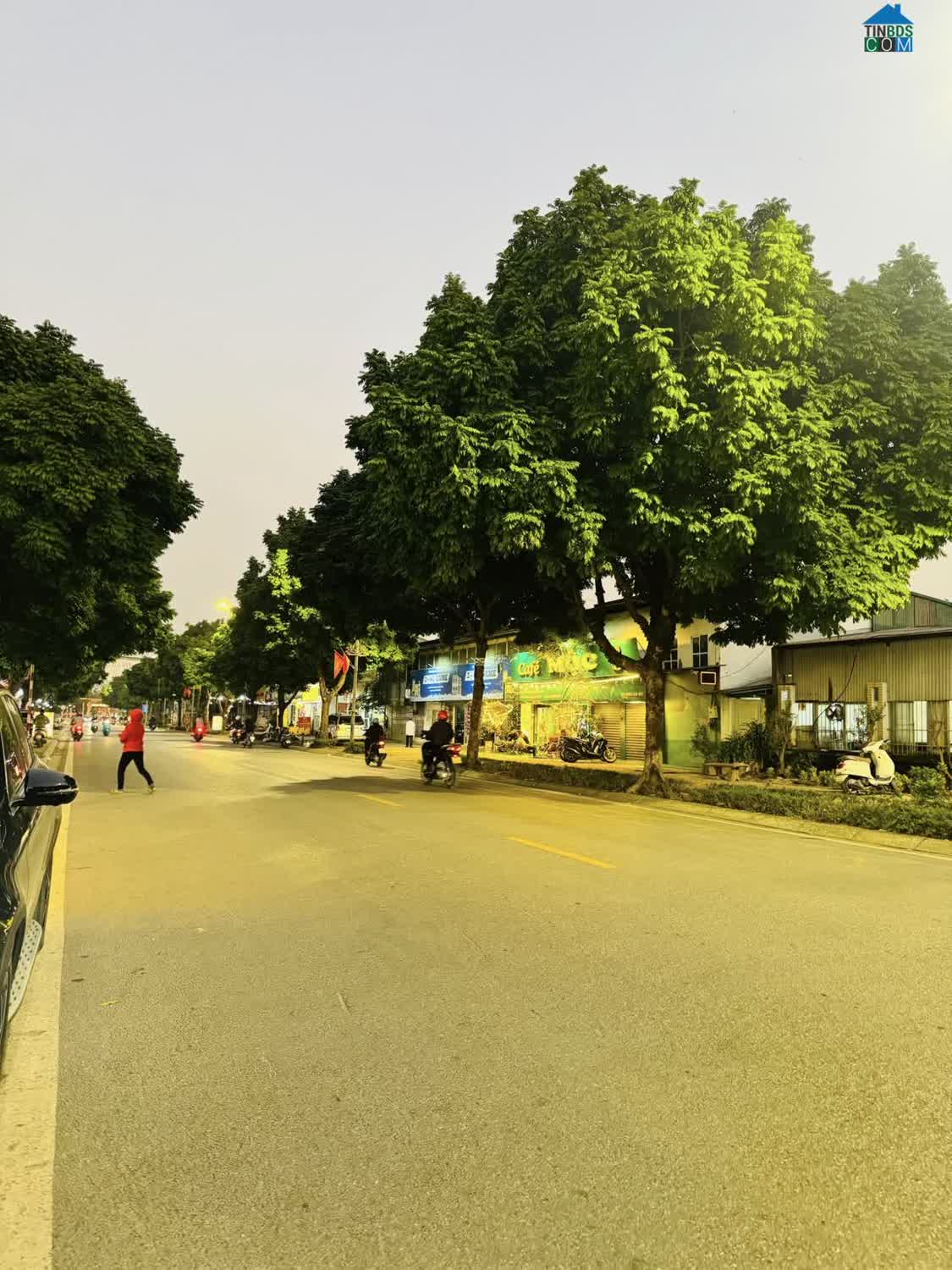 Ảnh Phố Trường Lâm 54m2, Mt4m, Ngõ Thông, Ô Tô Đỗ Cạnh - 8.X Tỷ - Bán Đất Tặng GPXD 0