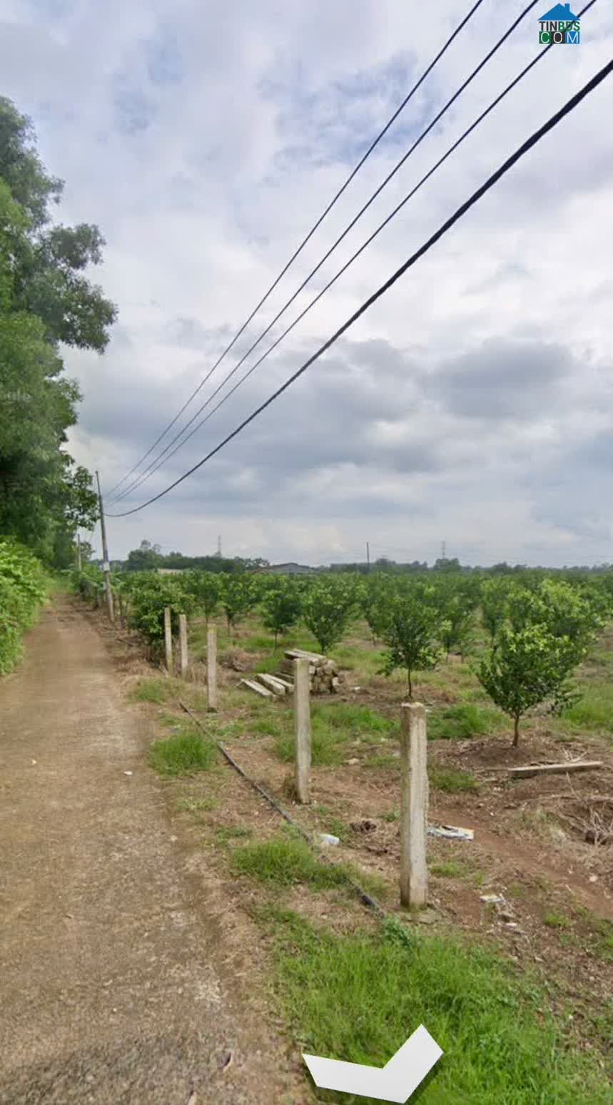 Ảnh Bán đất Thọ Hòa, xã Xuân Thọ, Xuân Lộc: 10ha, giá 62 tỷ. 0