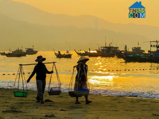 Ảnh 다낭 – 호이안: 여유 여행자를 위한 힐링 액티비티 가이드 0