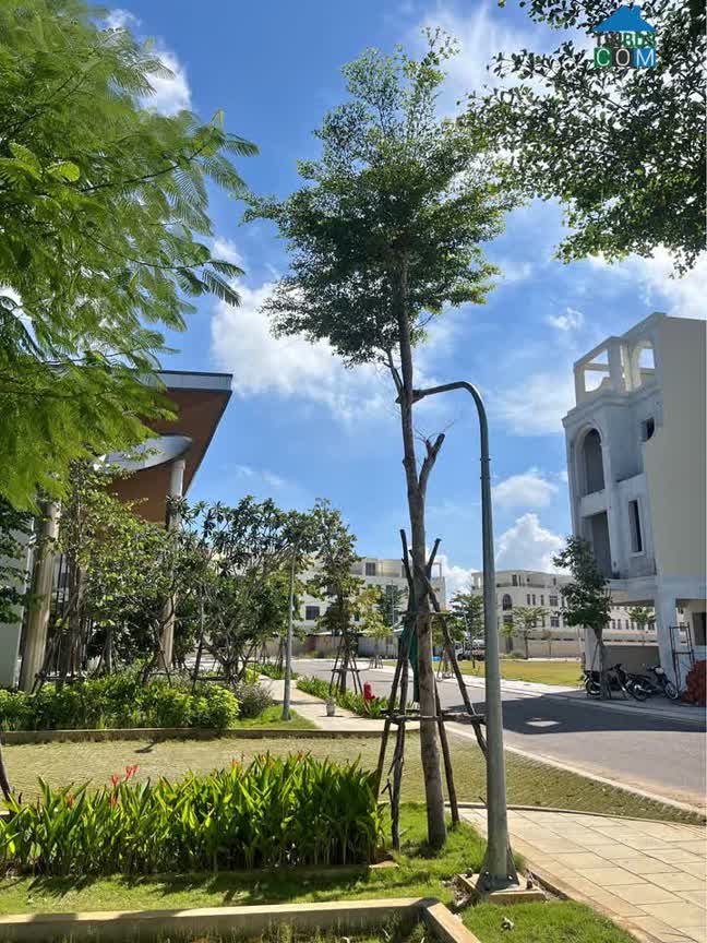 Ảnh Chỉ 2.x tỷ - Đất Nền Quy Nhơn - Gần Sân Bay - cách trung tâm 5 phút 0