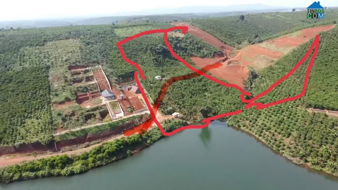 Ảnh Tìm đâu ra? 1,6Ha đất ven hồ Bảo Lộc, hạ giá 8 tỷ làm khu sinh thái cực đỉnh. 0