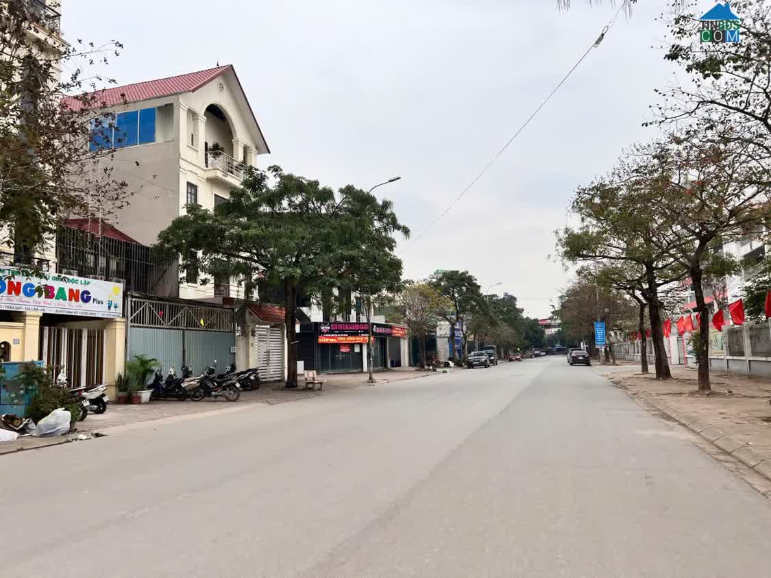 Ảnh Bán Nhanh 236m2 Đất Đấu Giá KĐT 31ha Trâu Quỳ, Gia Lâm, Hà Nội 0