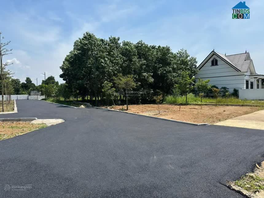 Ảnh Bán nhanh lô đất Cổ Đông 95.1m², MT 4.4m, sát QL21A mở rộng, đồng trạng cổ đông 0