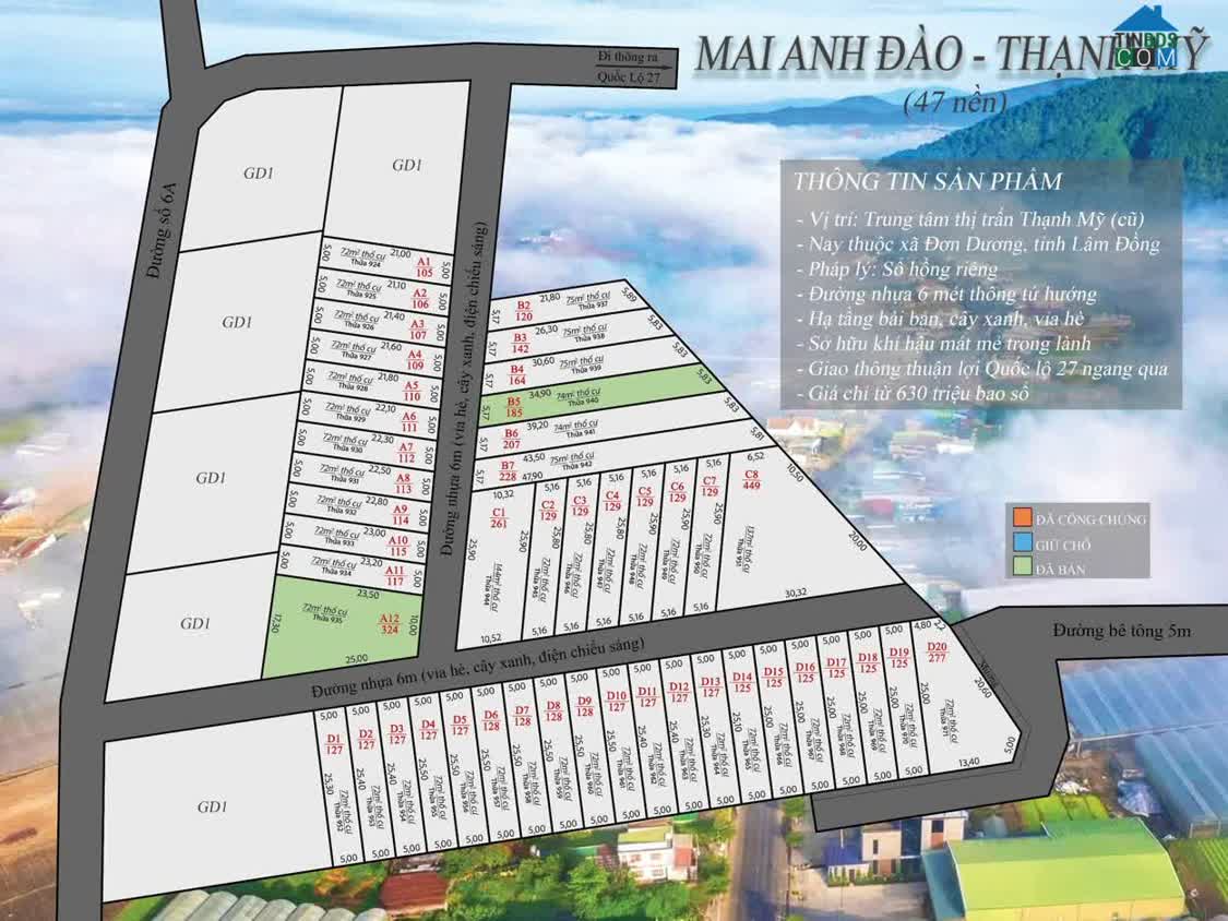 Ảnh Cơ Hội Hiếm Vùng Ven Đà Lạt – 47 Nền Sổ Riêng, Giá Chỉ Từ 630 Triệu 0