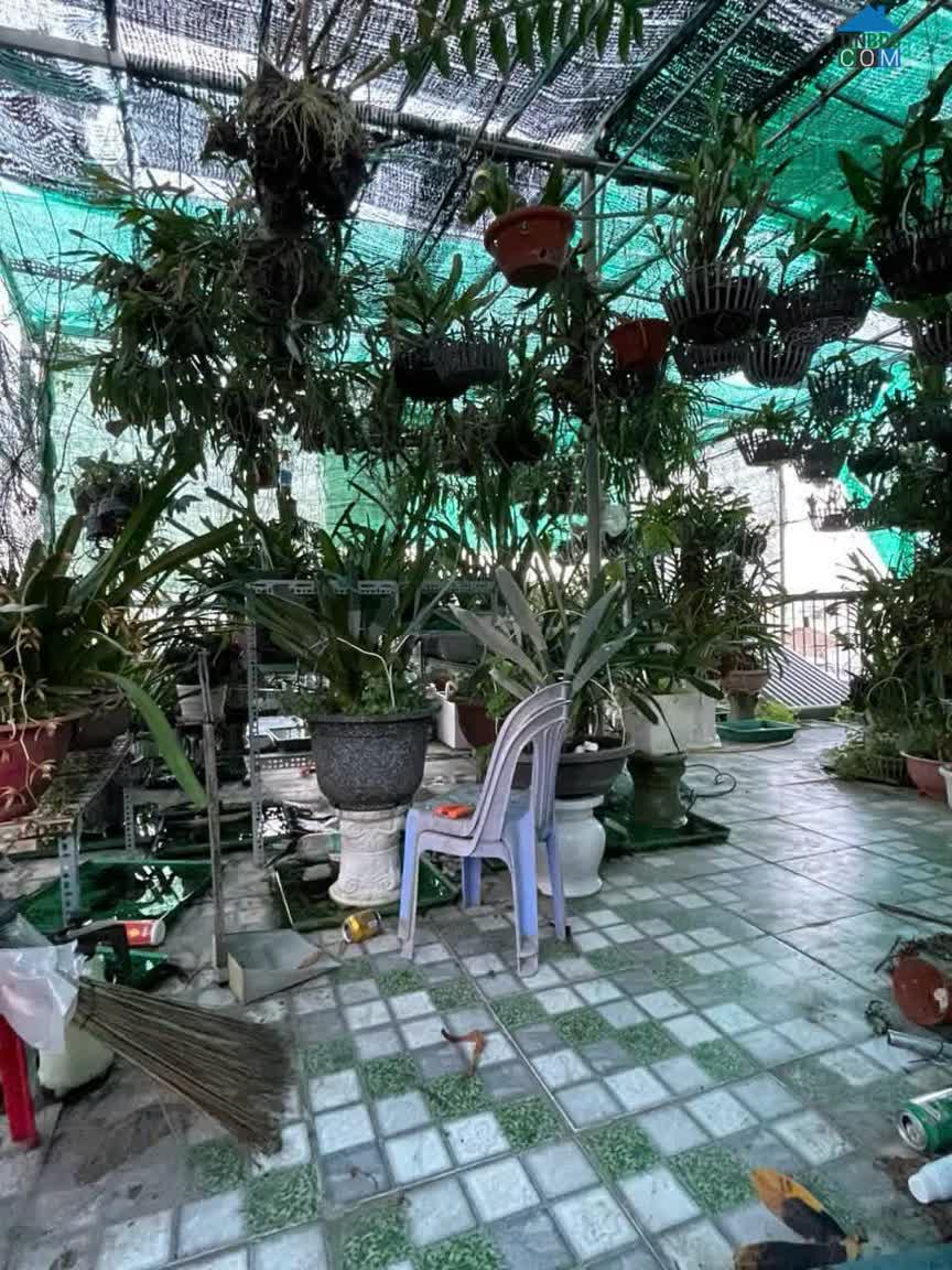 Ảnh Bán Nhà gần khu chợ chiều Lương Đình Của, hẻm ô tô
 Diện tích : 69,6 m2 giá 2 tỉ 650 (Có TL)... 0