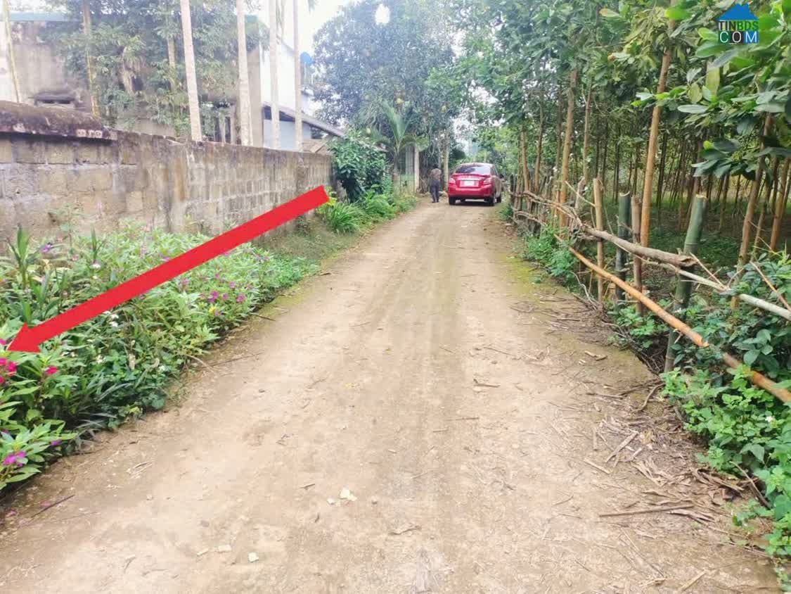 Ảnh Cần Bán Đất Giá Tốt Tại Xã Mỹ Thuận, Huyện Thanh Sơn – Phú Thọ - Chỉ 90 Triệu Sử Hữu Ngay Lô Đất Đẹp 0