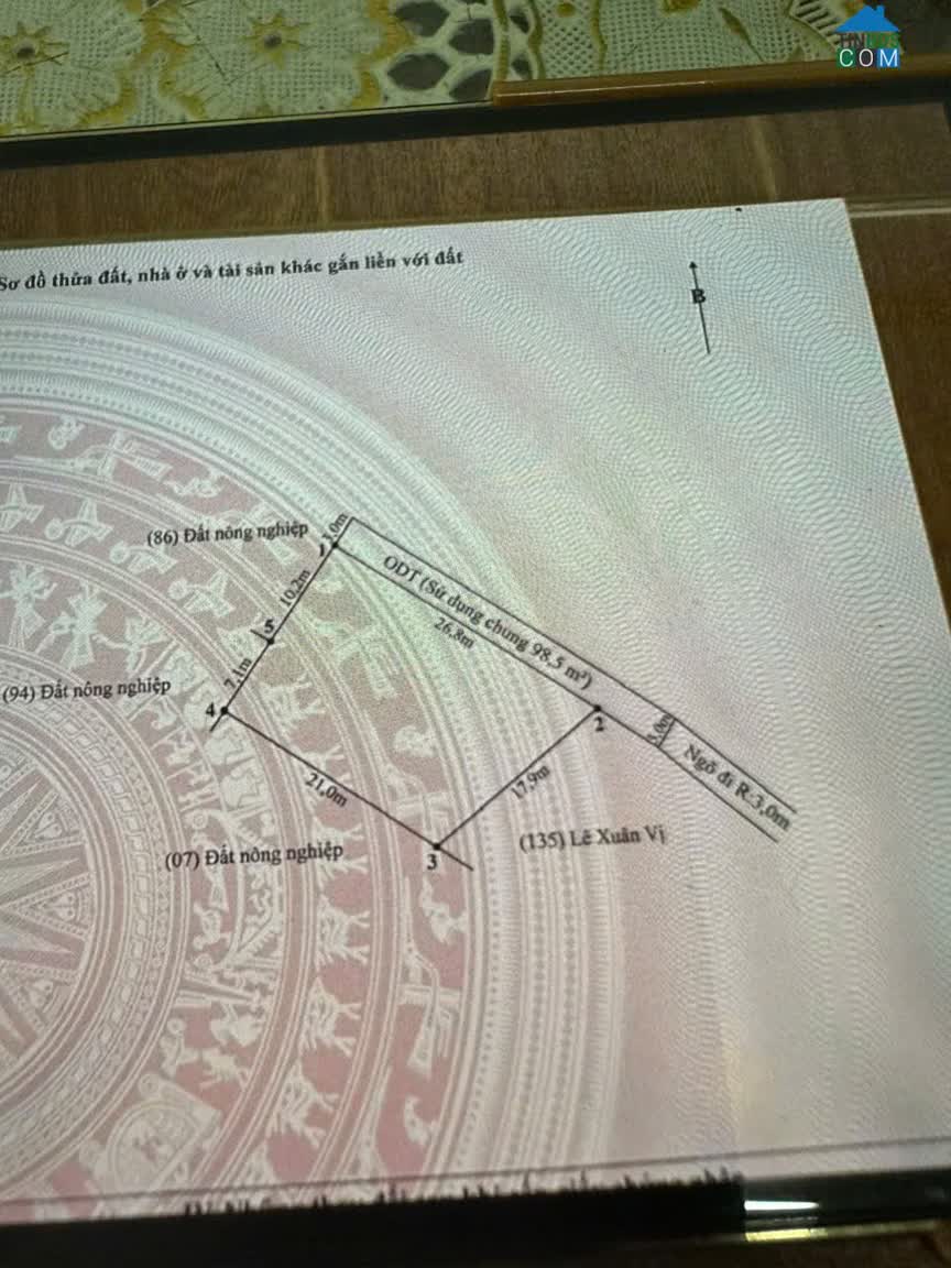 Ảnh Hàng Khủng Hòa Nghĩa Dương Kinh – 800m² Nhà Vườn – Giá 7.X Tỷ – Đầu Tư Dài Hạn Zalo 0567 222 555 0