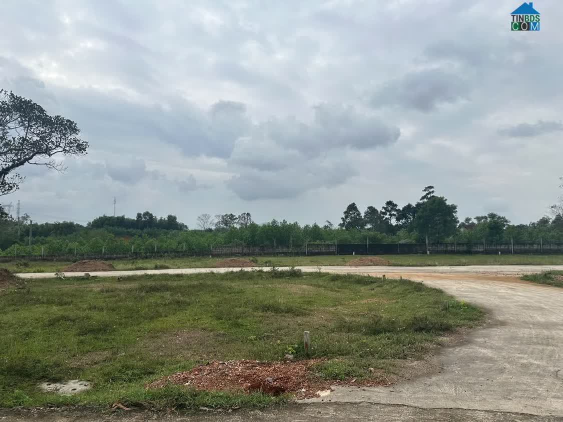 Ảnh Đất Nền Dạ Lê – Giá Tốt, Vị Trí Đẹp, Cơ Hội Đầu Tư Hiếm 0