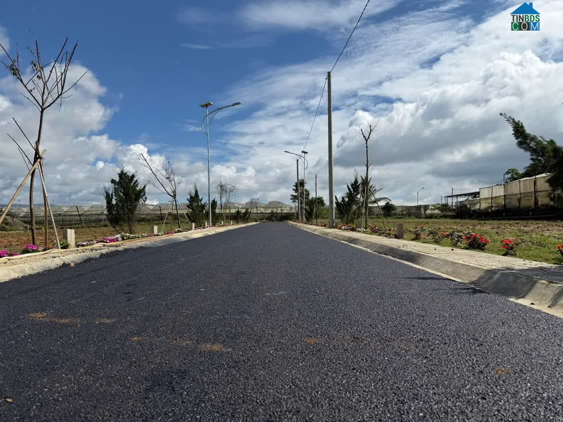 Ảnh Cơ Hội Hiếm Vùng Ven Đà Lạt – 47 Nền Sổ Riêng, Giá Chỉ Từ 630 Triệu 1