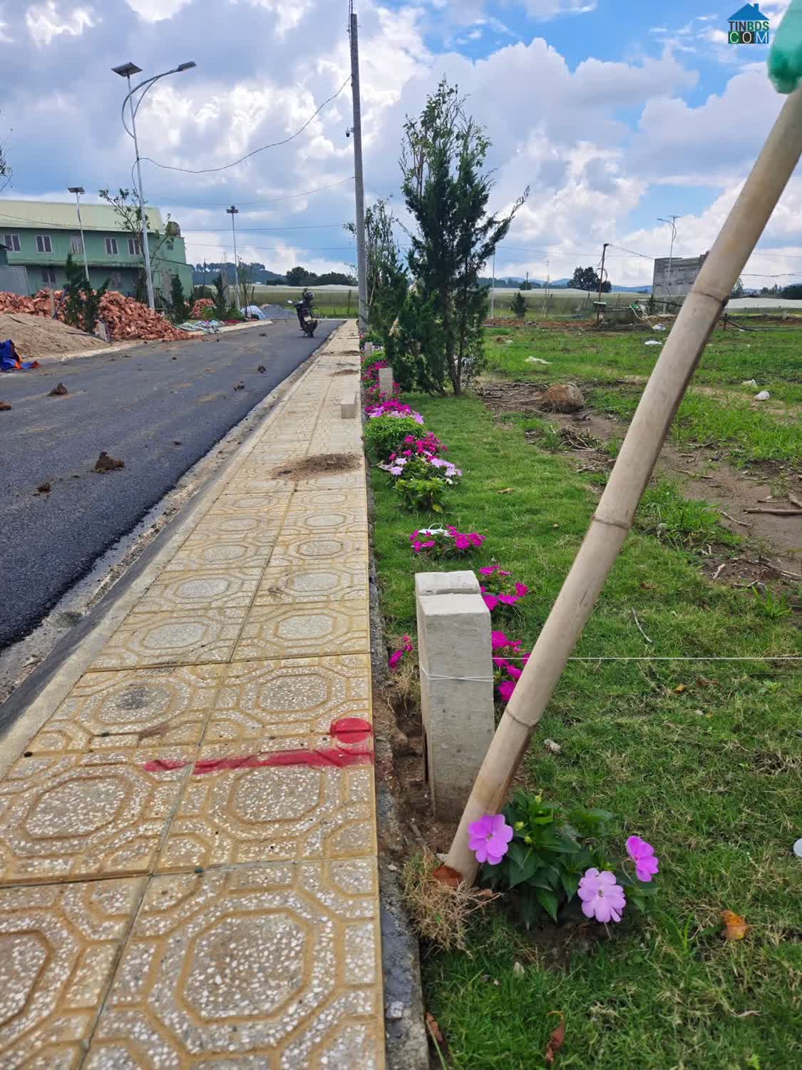 Ảnh Cơ Hội Hiếm Vùng Ven Đà Lạt – 47 Nền Sổ Riêng, Giá Chỉ Từ 630 Triệu 3