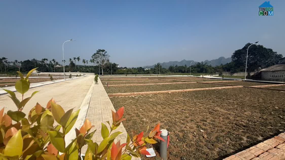 Ảnh Số vốn hơn 400trieu/lô đất dòng tiền ngay KCN 400ha tại Phú Thành Lạc Thủy Hoà Bình 0